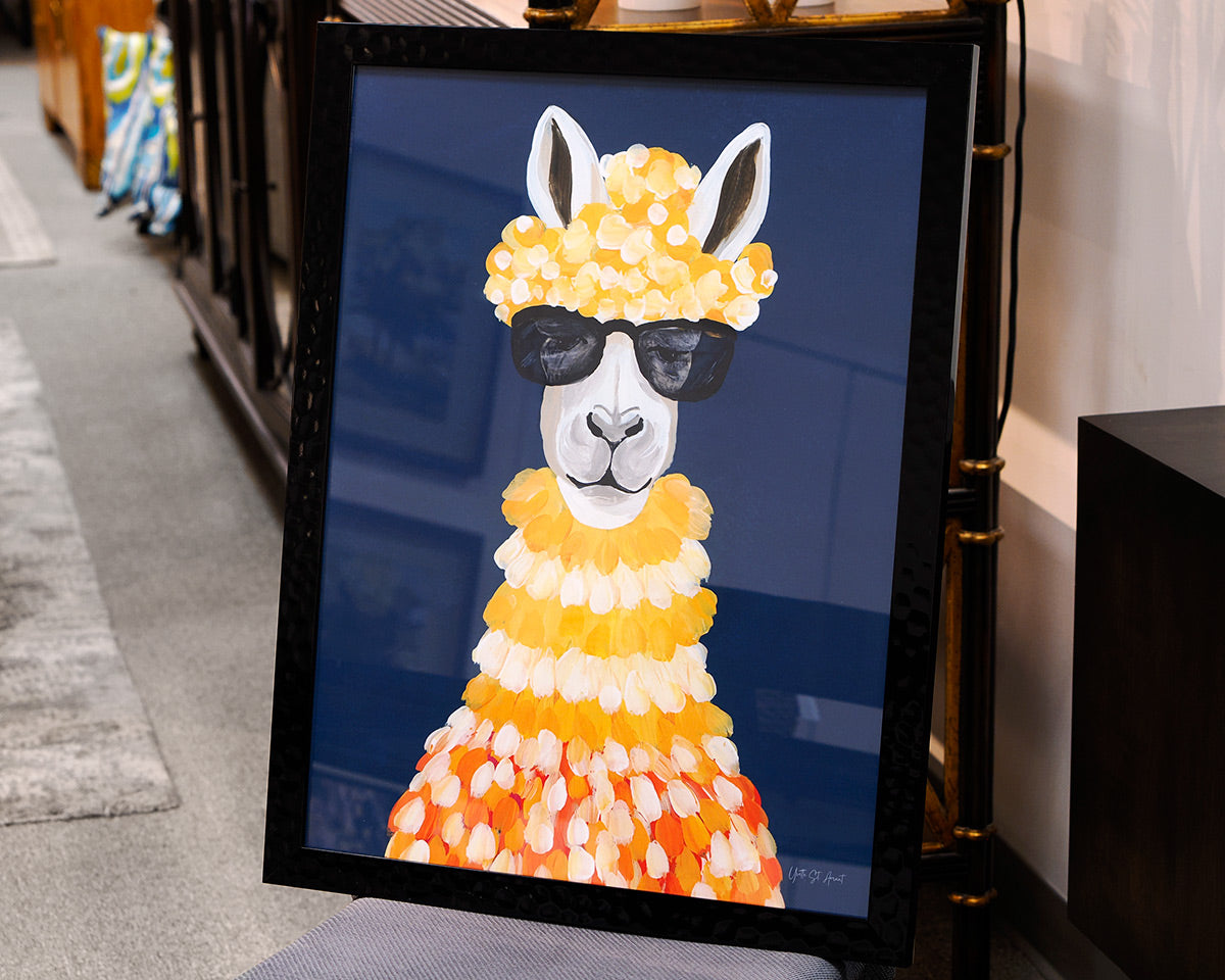 'Miami Alpaca II'