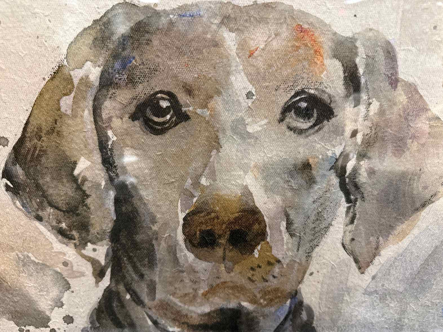 'Dog Days A' Framed Wall Decor