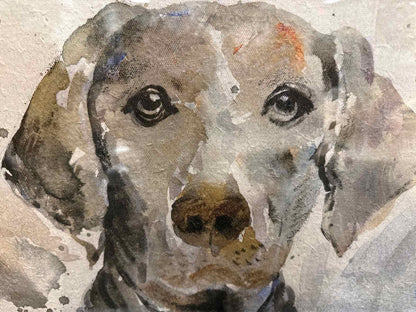 'Dog Days A' Framed Wall Decor
