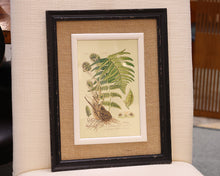 Framed Fern Print III in Black Frame