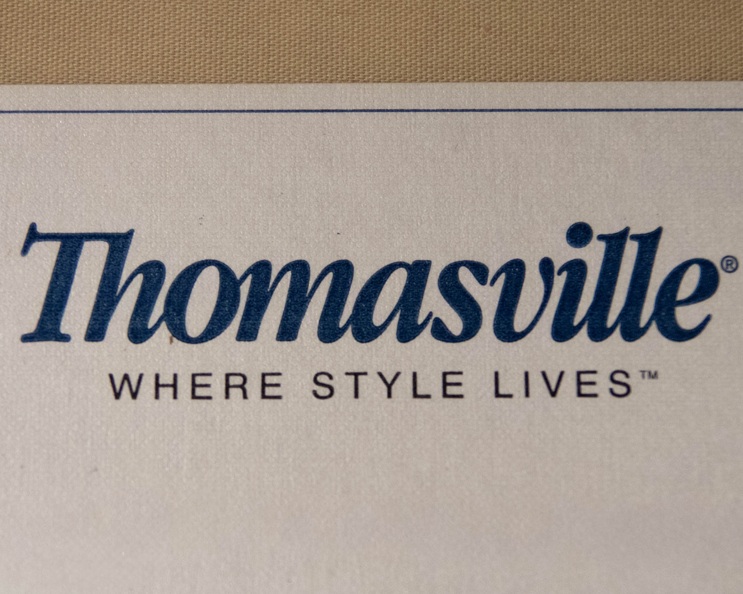 Thomasville Bergere Chair with Damask Tone on Tone Upholstery