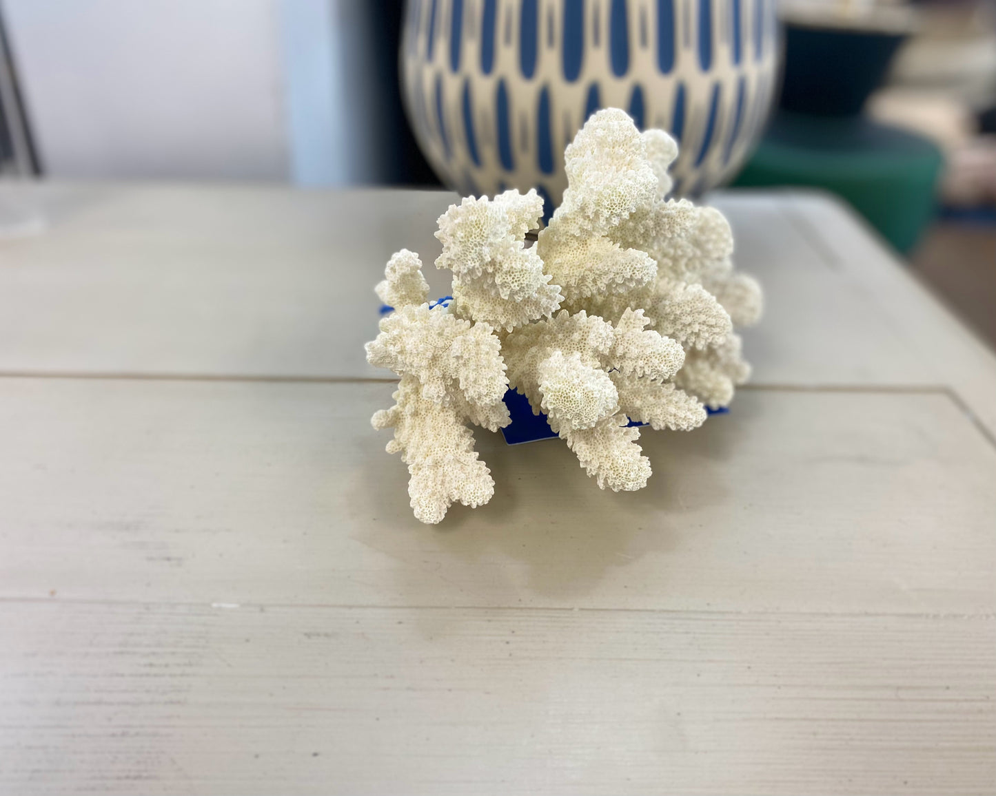 White Coral Decor