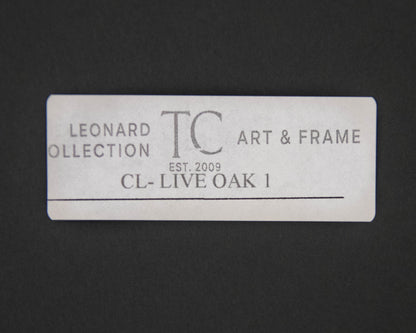 'Live Oak' Framed Print