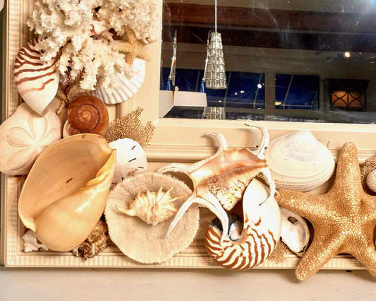 Cream Finished Frame Adorned With Tropical  Sea Shells Mirror