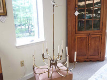 Grag Studios Antiqued Brass Twelve Light Chandelier