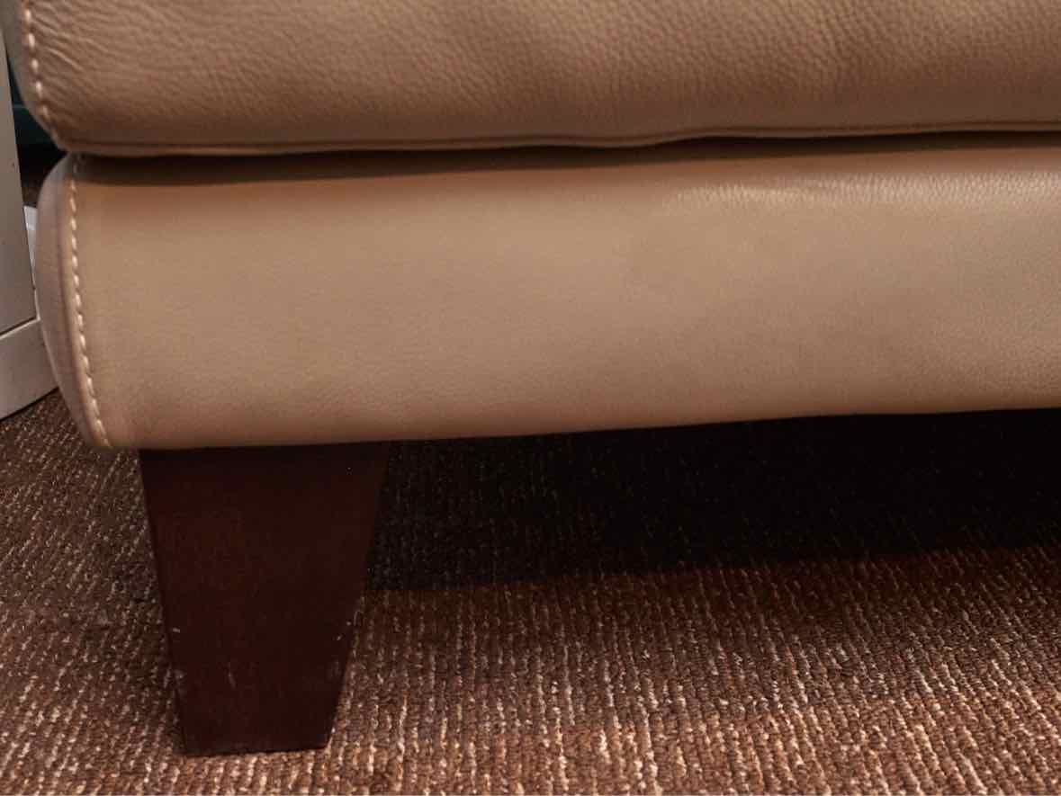 Nicoletta  Taupe Leather Contemporary  Loveseat