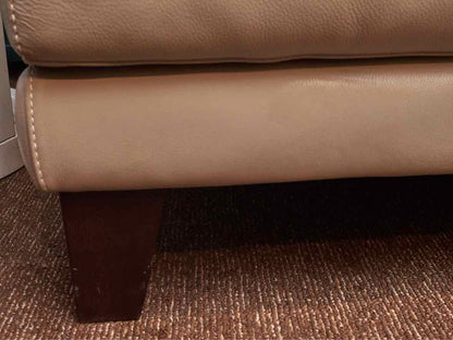 Nicoletta  Taupe Leather Contemporary  Loveseat
