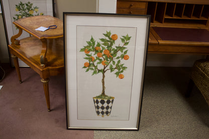 Framed Print:  Orange Fruit Topiary II