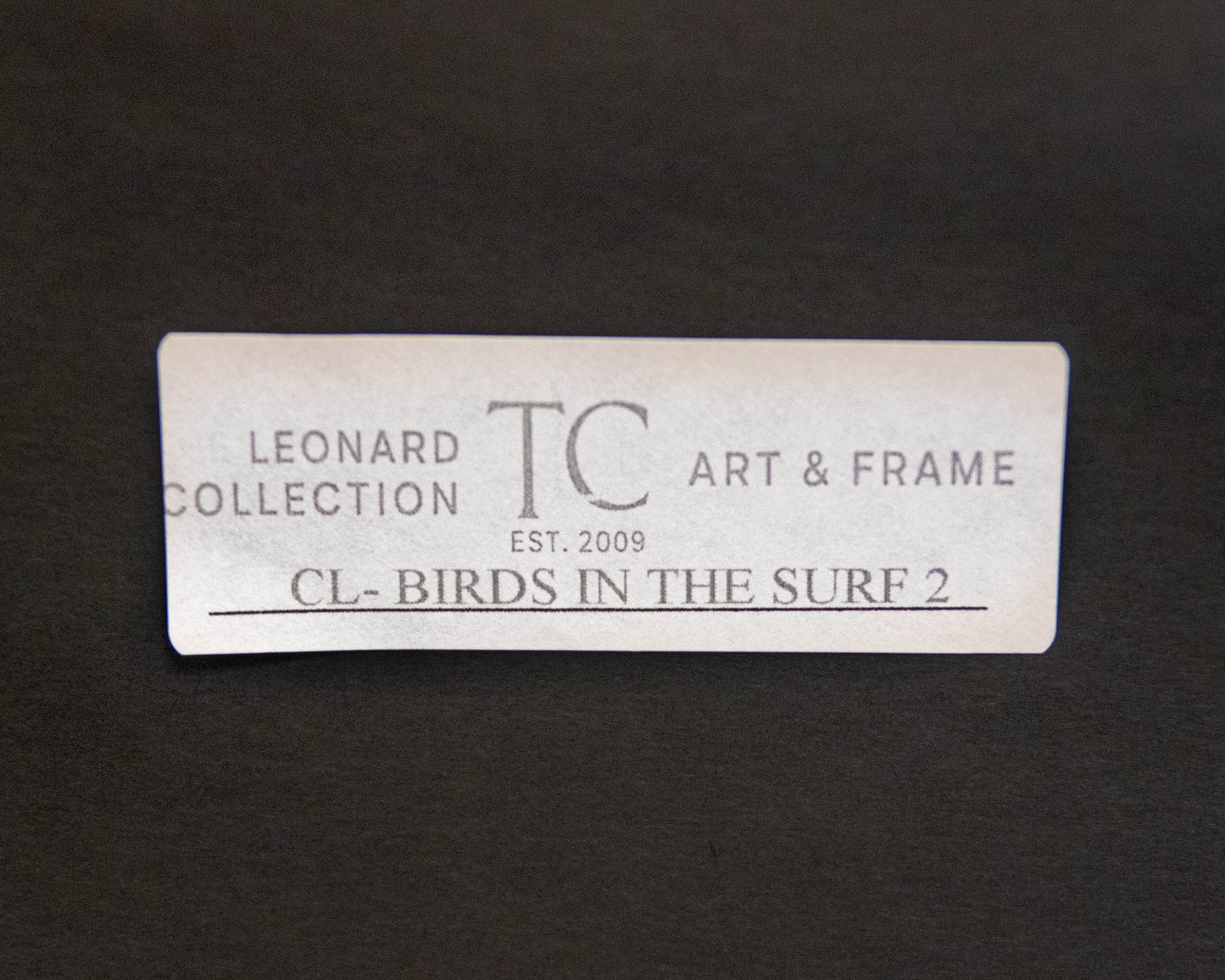 'Birds in the Surf 2' Framed Print