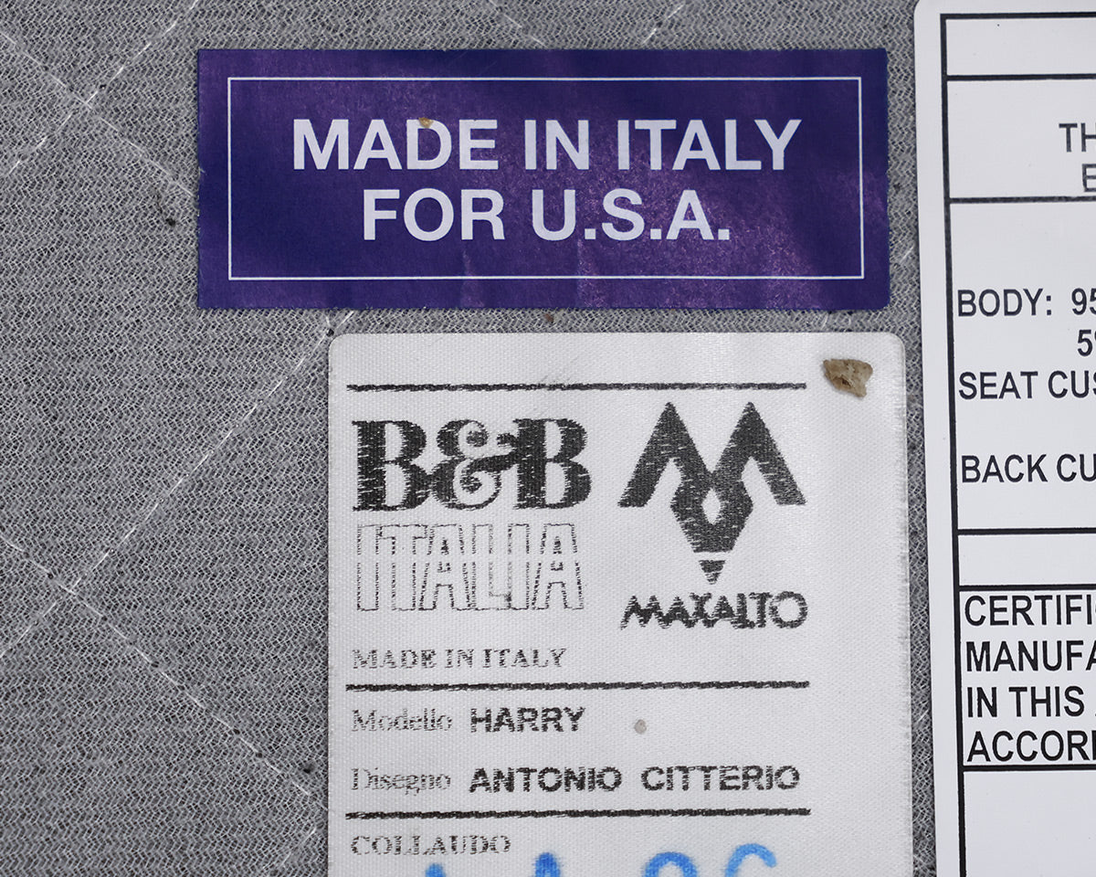 B&B Italia Brown Leather Chair