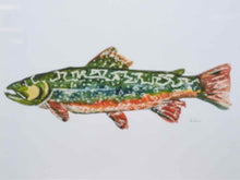 Framed Giclee:  "Colorful Trout III"