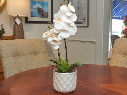 Boca White Orchid In Textured Pot Decor