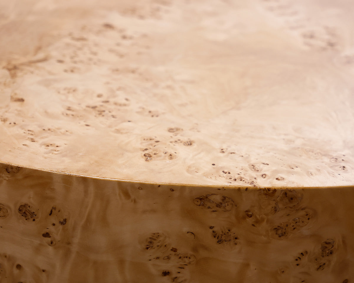 Mont Blanc Mixed Circles Burl Coffee Table
