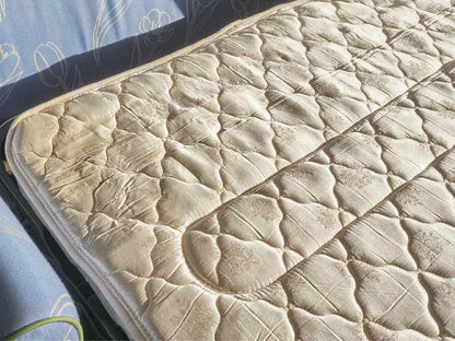 Norwalk  Furniture Sky Blue With Green Piping Upholstered  Queen Sleeper