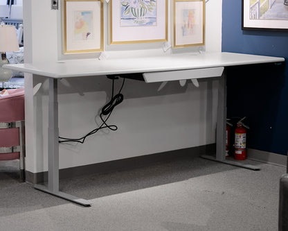 Imovr "Lander" Contemporary Motorized Standing Desk