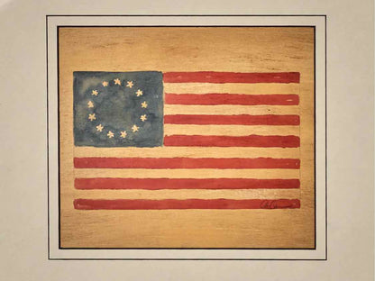 'American Flags VIII' Art Print In Matt Black & Silvedr Accent Frame