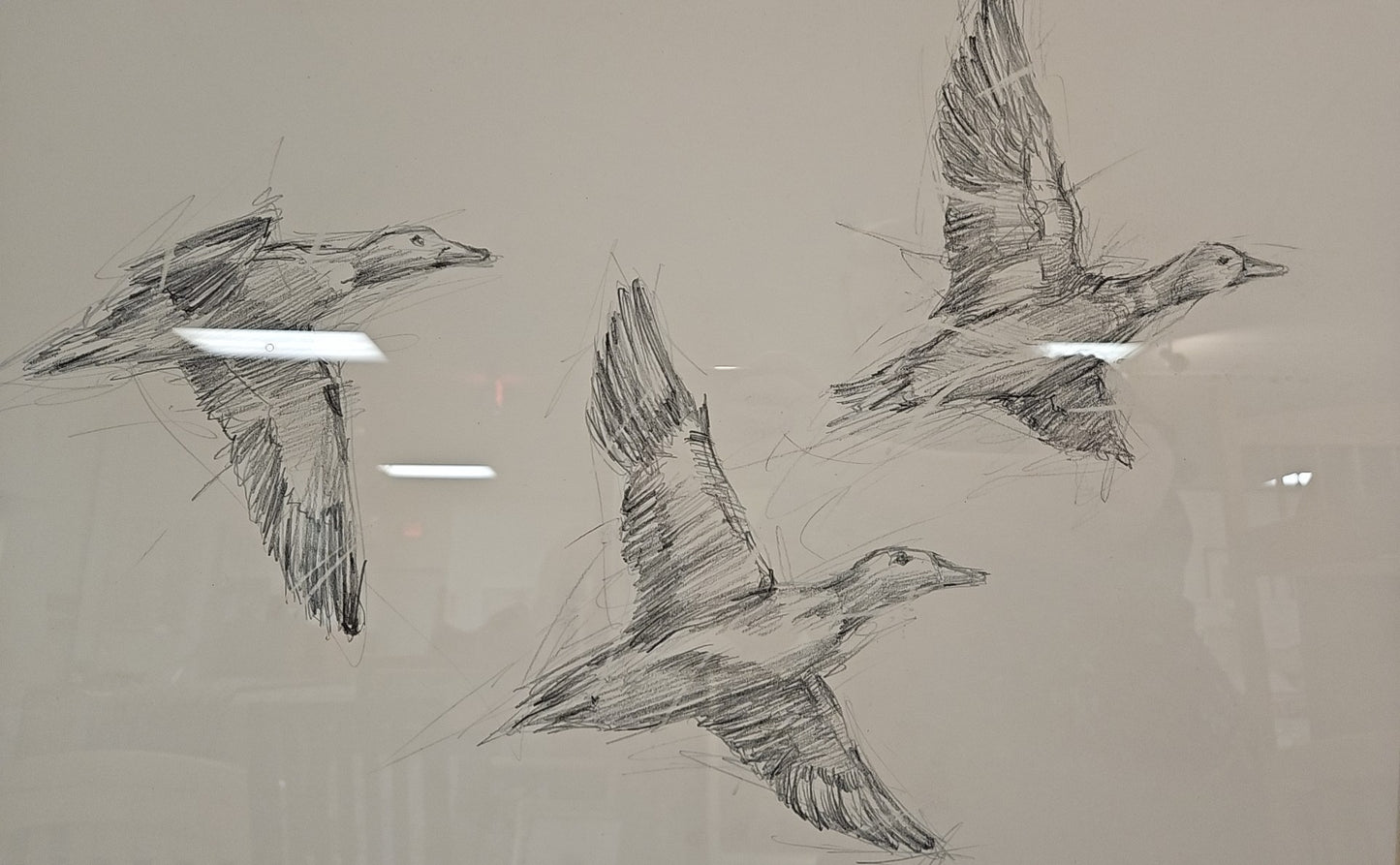 'Mallard Duck Sketch II' Flock of Ducks Wall Decor in Espresso Frame