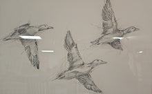 'Mallard Duck Sketch II' Flock of Ducks Wall Decor in Espresso Frame