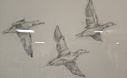 'Mallard Duck Sketch II' Flock of Ducks Wall Decor in Espresso Frame