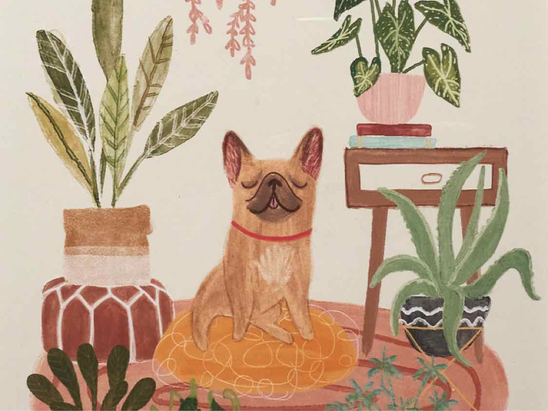 Urban Jungle Dogs IV' Print Double Framed