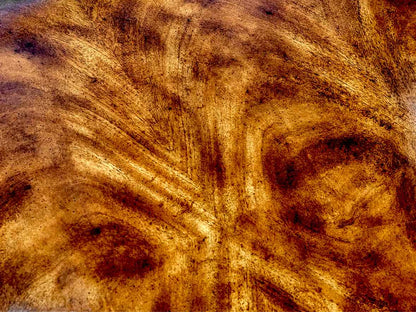 Hickory & White Regency Style Mahogany Dining Table (w/Pads) & Set of 12 Chairs