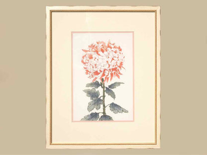 Framed Giclee:  "Asian Coral & White Flowers I"