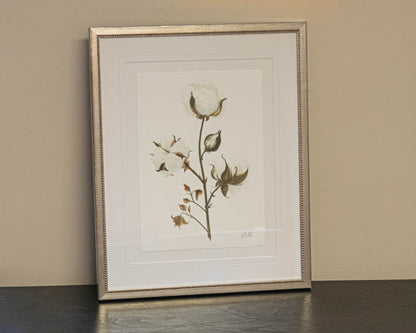 'Cotton 2' Framed Print