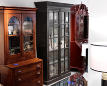 Black Distressed Glass Library Cabinet
