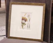 "Antique Botanical I B" Matted Print in Distressed Antique Gold Frame