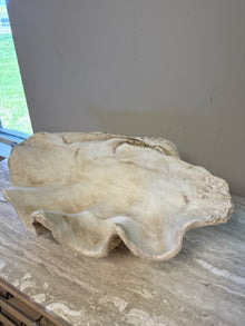 Giant Resin Clam Shell Decor