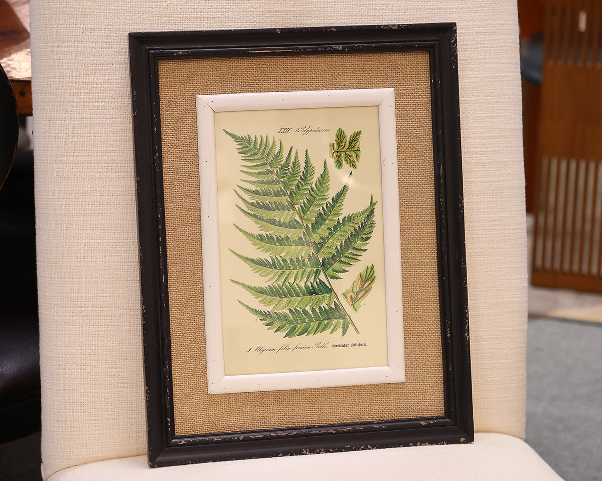 Framed Fern Print V in Black Frame