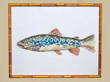 Framed Giclee:  "Colorful Trout IV"