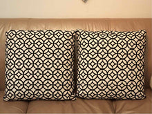 Pair of Black Velvet & White Accent Pillows