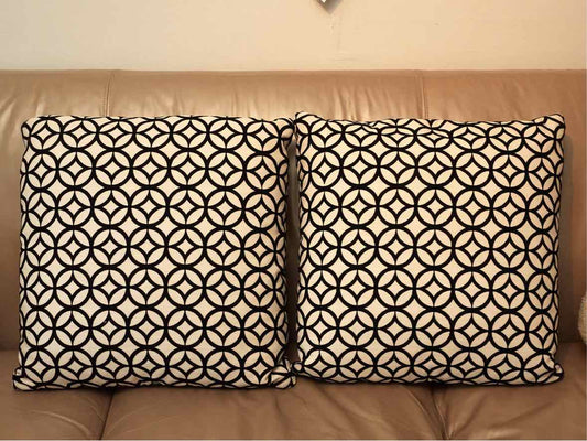Pair of Black Velvet & White Accent Pillows