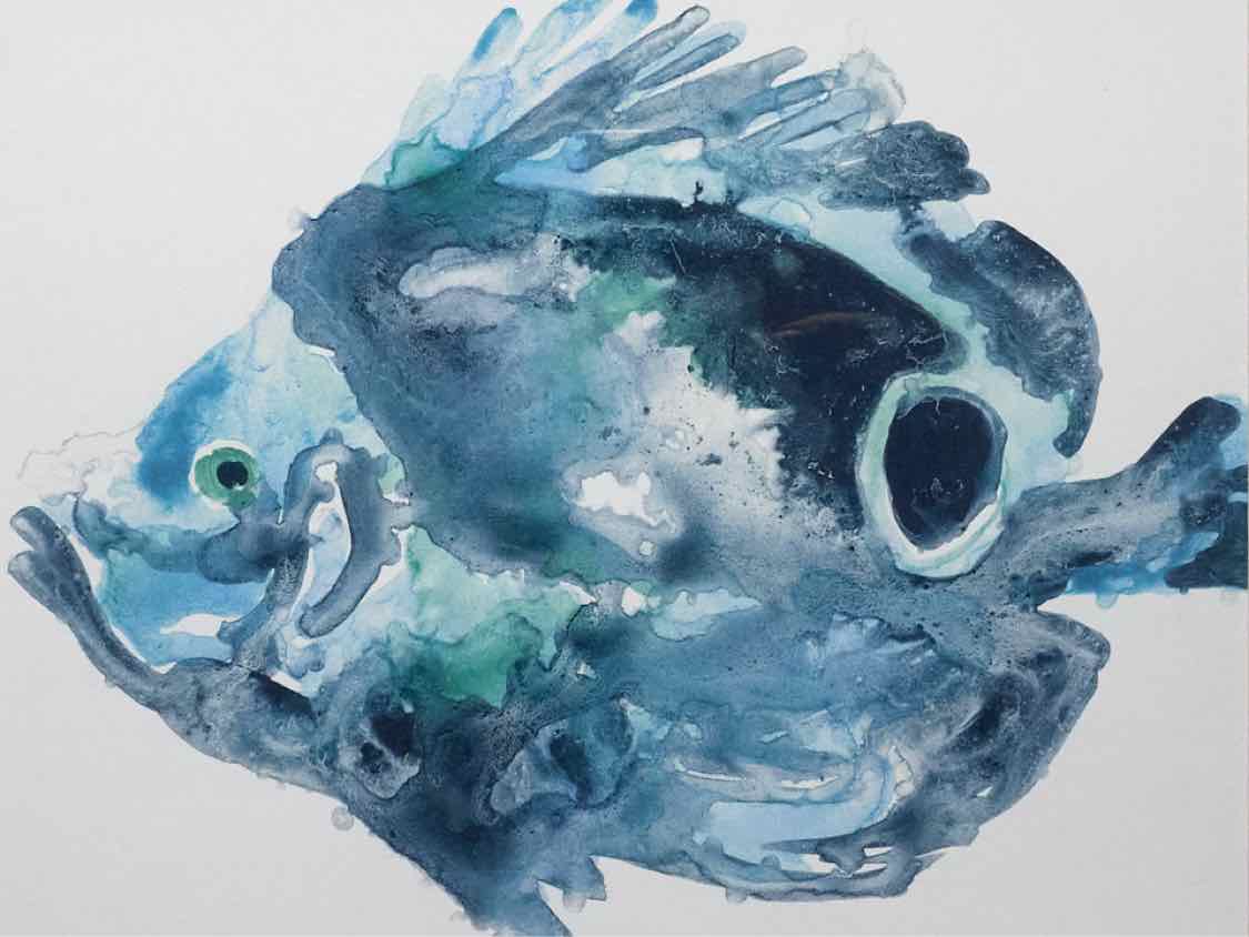 'Blue Ocean Fish IV' Print In White Frame