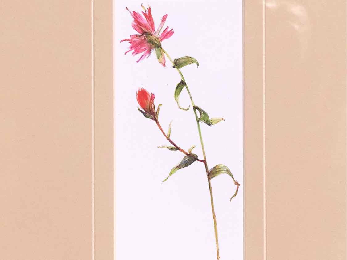 'Pretty Florals I' Framed Print 1/3