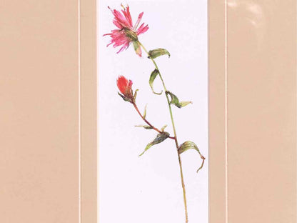 'Pretty Florals I' Framed Print 1/3