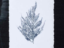 Coral Art Print On Grasscloth Driftwood Finish Frame IV