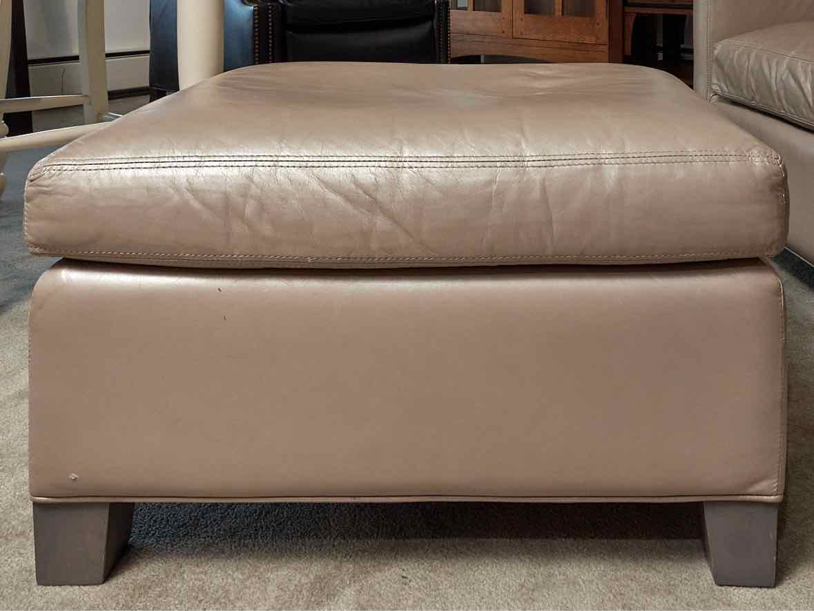 Boston Interiors Klyine 'Lustre Pebble' Leather Chair & Ottman