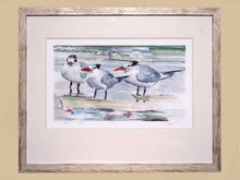 "Birds in the Surf" Double Matted Signed Numbered Print in Drifted Frame