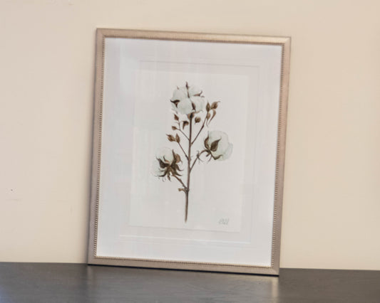'Cotton 1' Framed Print