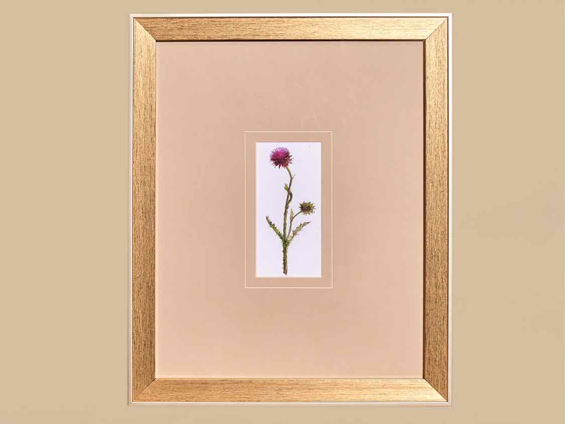 'Pretty Florals I' Framed Print 3/3