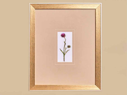 'Pretty Florals I' Framed Print 3/3