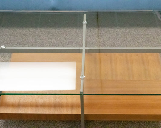 Contemporary Glass Top Cocktail Table in Steel with Wood Shelf