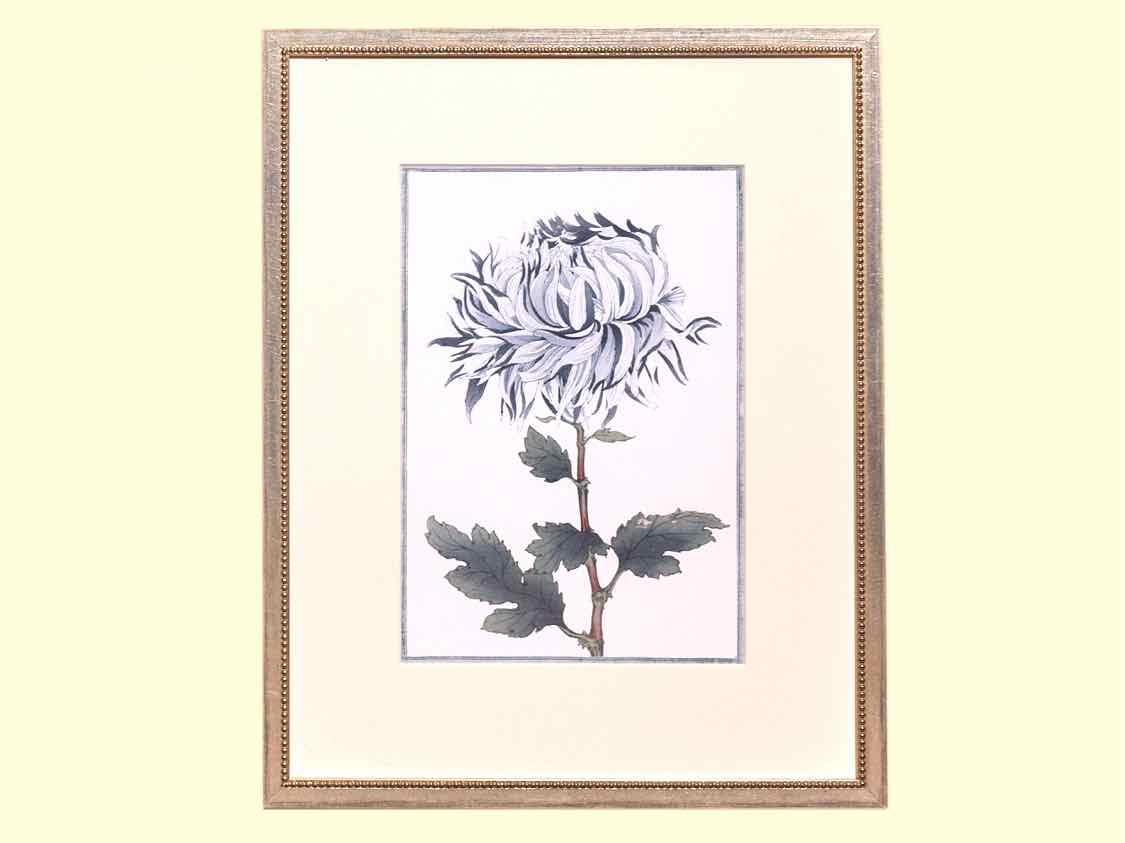 Framed Giclee 'Asian Blue & White Flowers V'