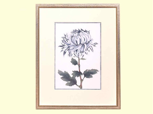 Framed Giclee 'Asian Blue & White Flowers V'