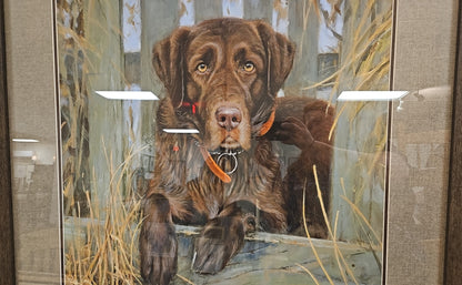 'Bud' Chocolate Lab with Dark Wood Frame