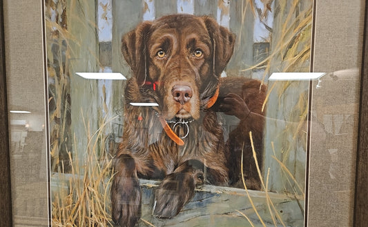 'Bud' Chocolate Lab with Dark Wood Frame
