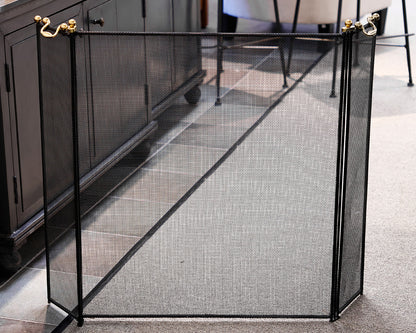 Fireplace Screen