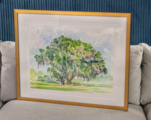 'Live Oak' Framed Print